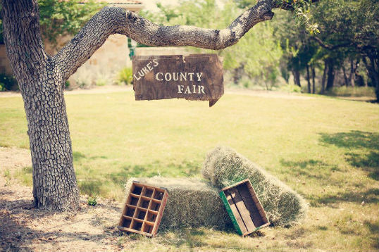 COUNTY FAIR BIRTHDAY PARTY