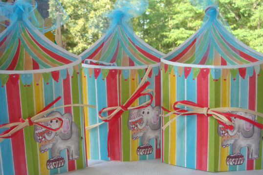 THE BIRTHDAY CIRCUS