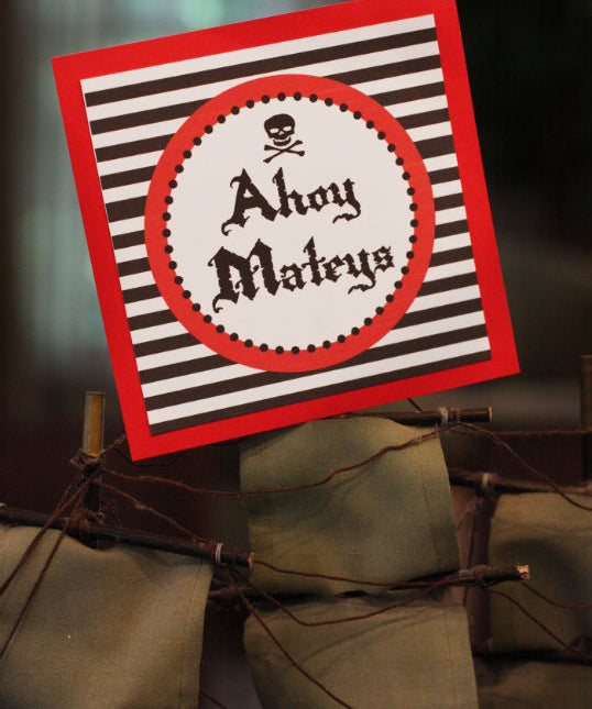 PIRATE PARTY