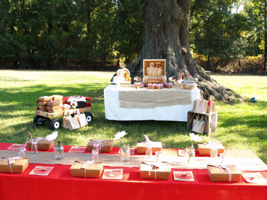 APPLE PARTY