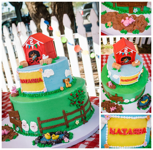 COUNTRY FAIR BIRTHDAY PARTY IDEAS