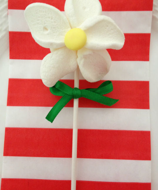 HOW TO MAKE MARSHMALLOW DAISIES ~ SPRING BIRTHDAY PARTY IDEAS