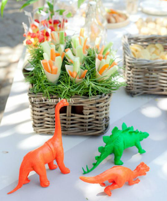 PALEONTOLOGY ADVENTURE- DINOSAUR PARTY
