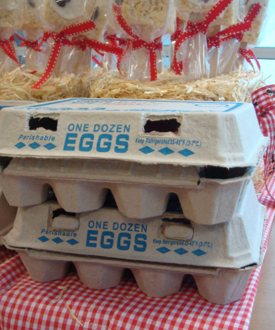 FARM PARTY IDEAS (School Party)