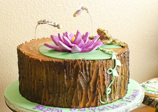 FROG PRINCESS PARTY