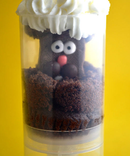 GROUNDHOG PUSH POPS