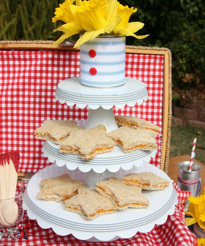 PATRIOTIC PICNIC