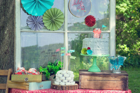 WOODLAND OWL PARTY