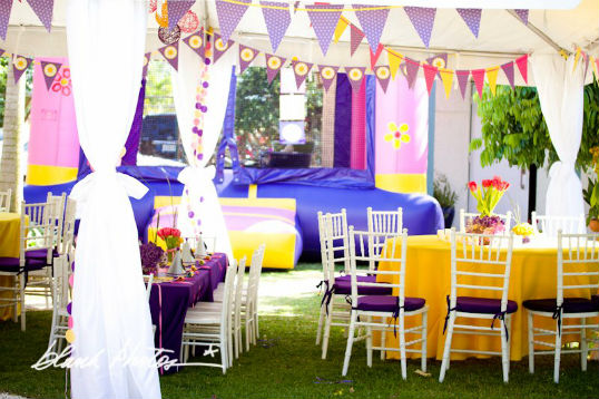 RAPUNZEL PARTY ~ TANGLED-INSPIRED