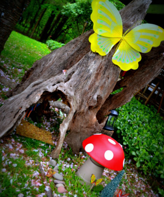 WOODLAND FAIRY PARTY