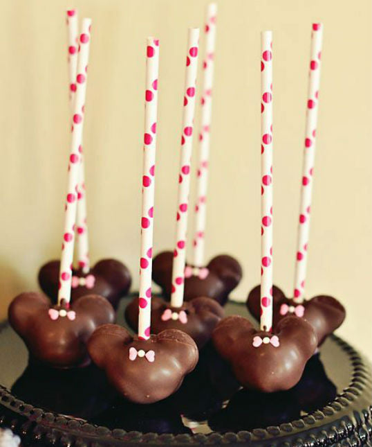 ZEBRA MINNIE MOUSE PARTY