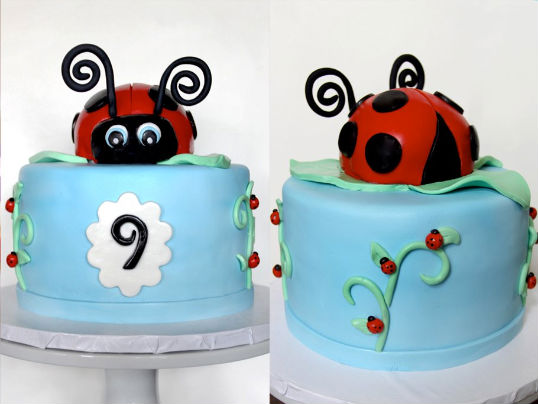 Layered Bake Shop ladybug cake