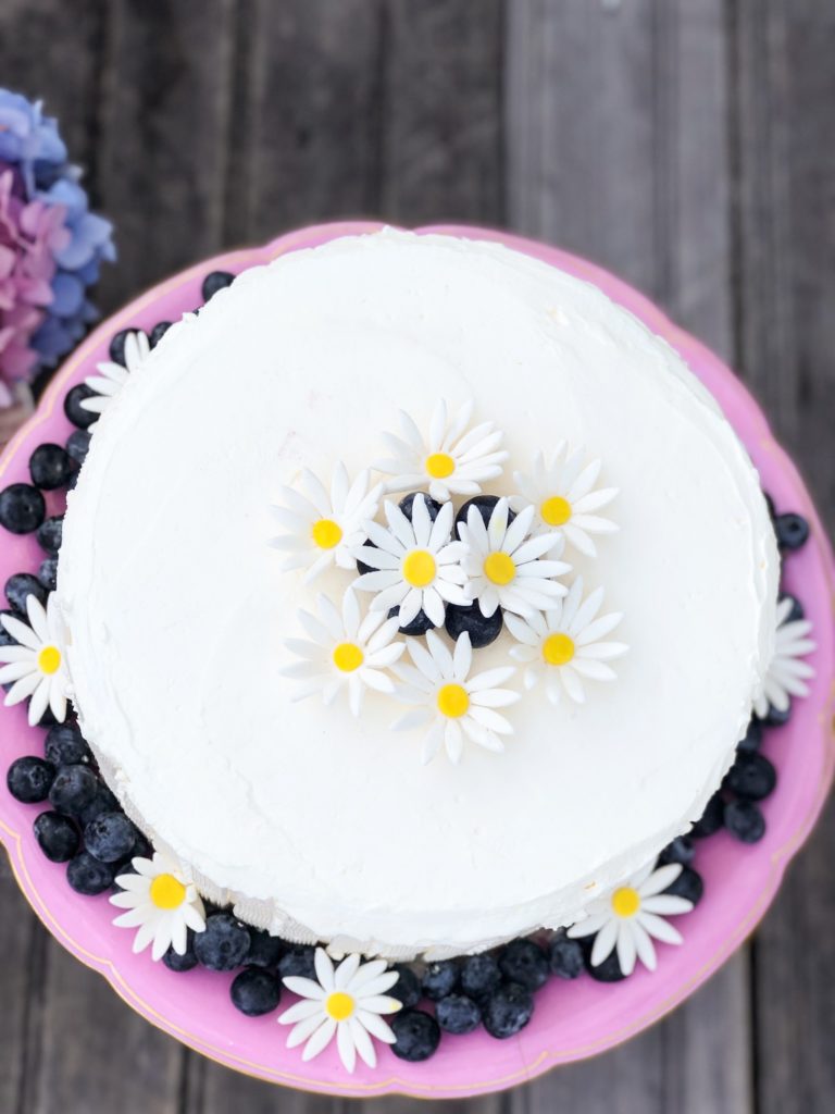 party-ideas-nantucket-harbor-cruise-daisy-blueberry-cake
