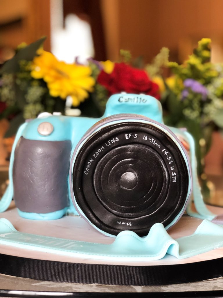 blue camera cake sculpted and decorated in fondant