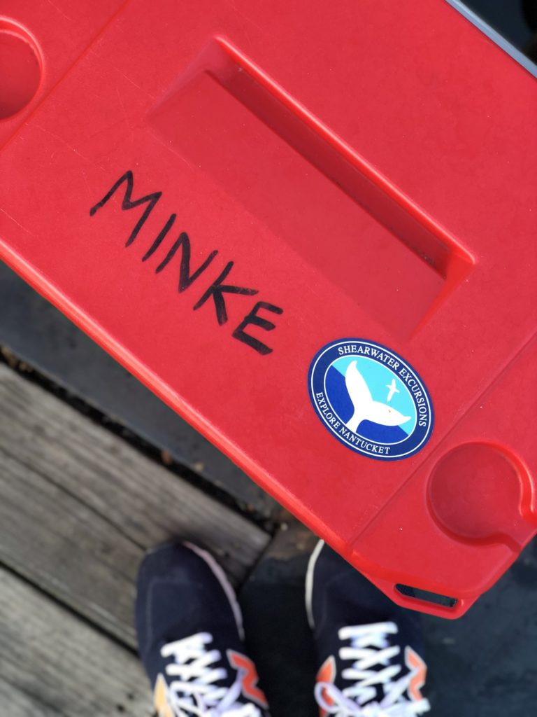 red cooler with shearwater excursions logo in the corner and the name of the boat Minke written in black ink