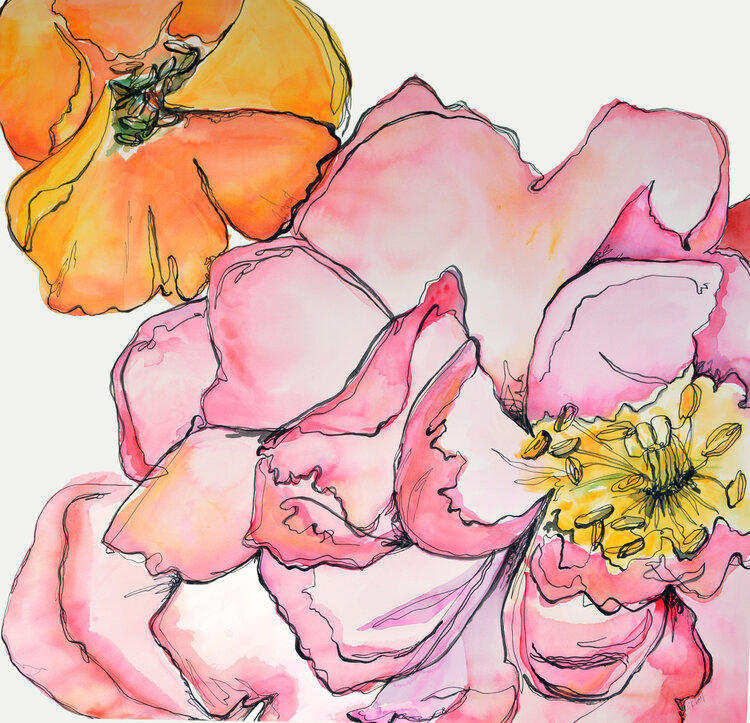 courtney khail watercolor and ink botanical original art