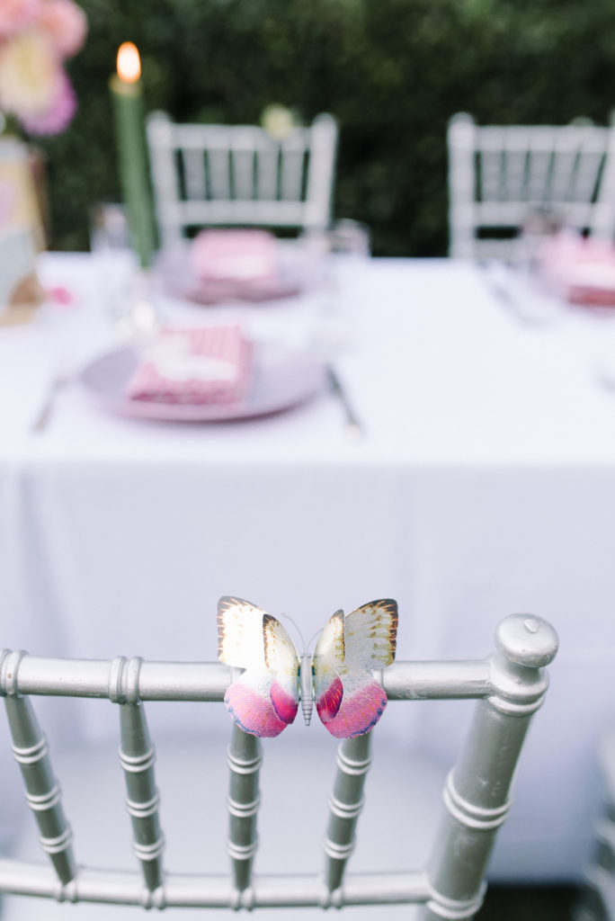 garden-party-dinner-celebration-sallie-holder-butterfly on chair
