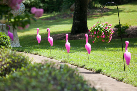 flamingos lining the sidewalk into a party