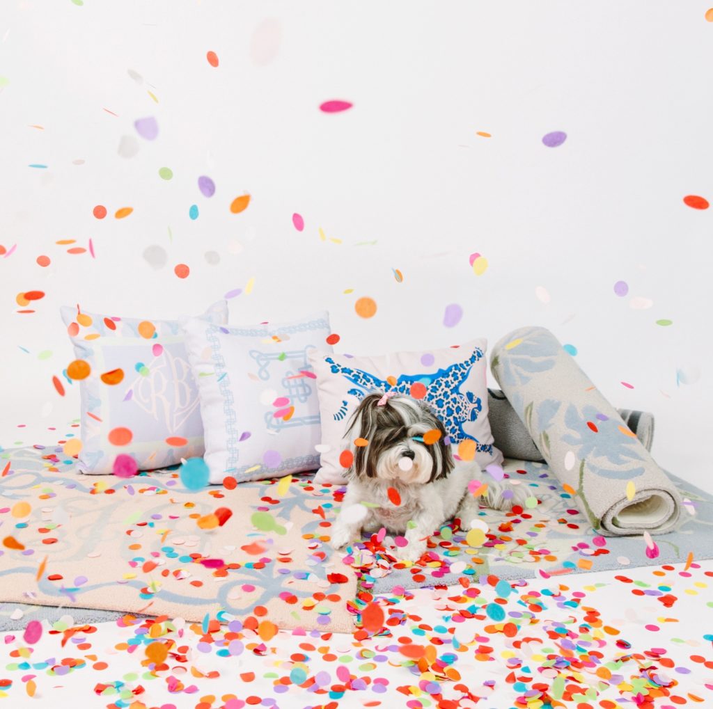 pillows on white floor and white wall with confetti everywhere and a dog in the middle