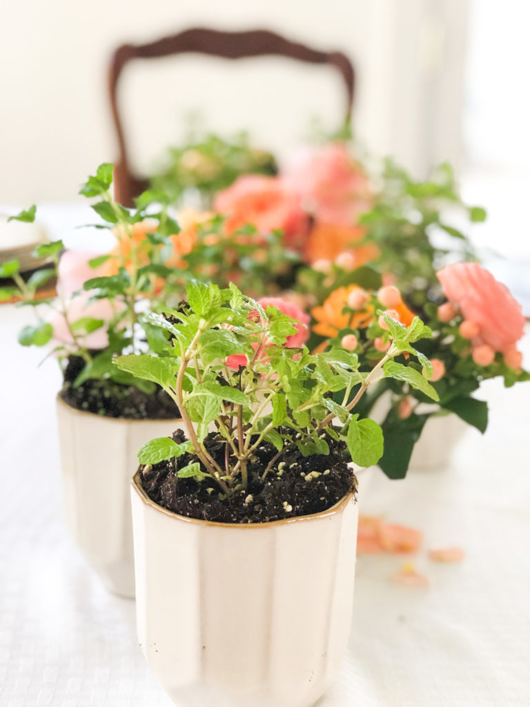 mint planted in white pots with peach orange ranunculas in vases between the mint