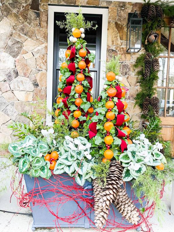 ivy topiaries with oranges and ribbons in planter with greenery