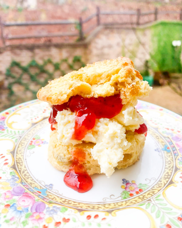 authentic traditional british scone on plate filled with clotted cream and jam
