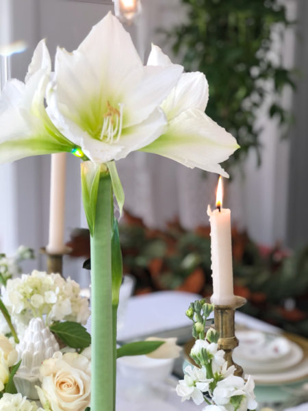 White amaryllis on center of table set with white candle in background