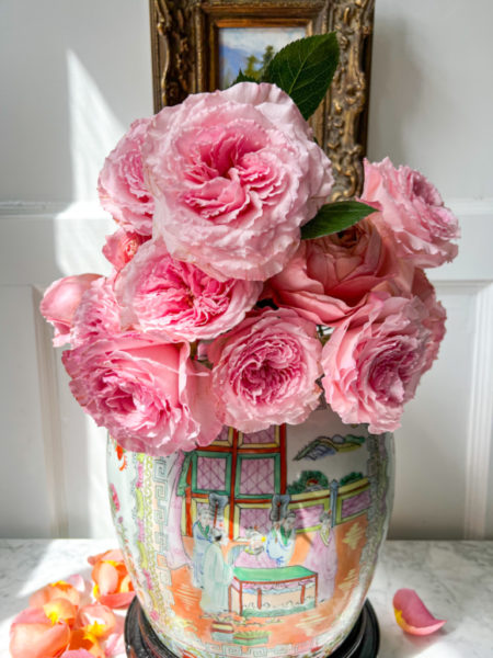 pink roses placed in rose medallion vase