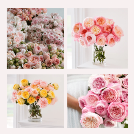 four photos of roses in light pink and yellow